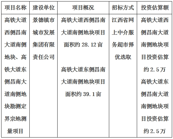 景德鎮(zhèn)市高鐵大道西側昌南大道南側地塊、高鐵大道東側昌南大道南側地塊勘測定界宗地測量項目計劃公告